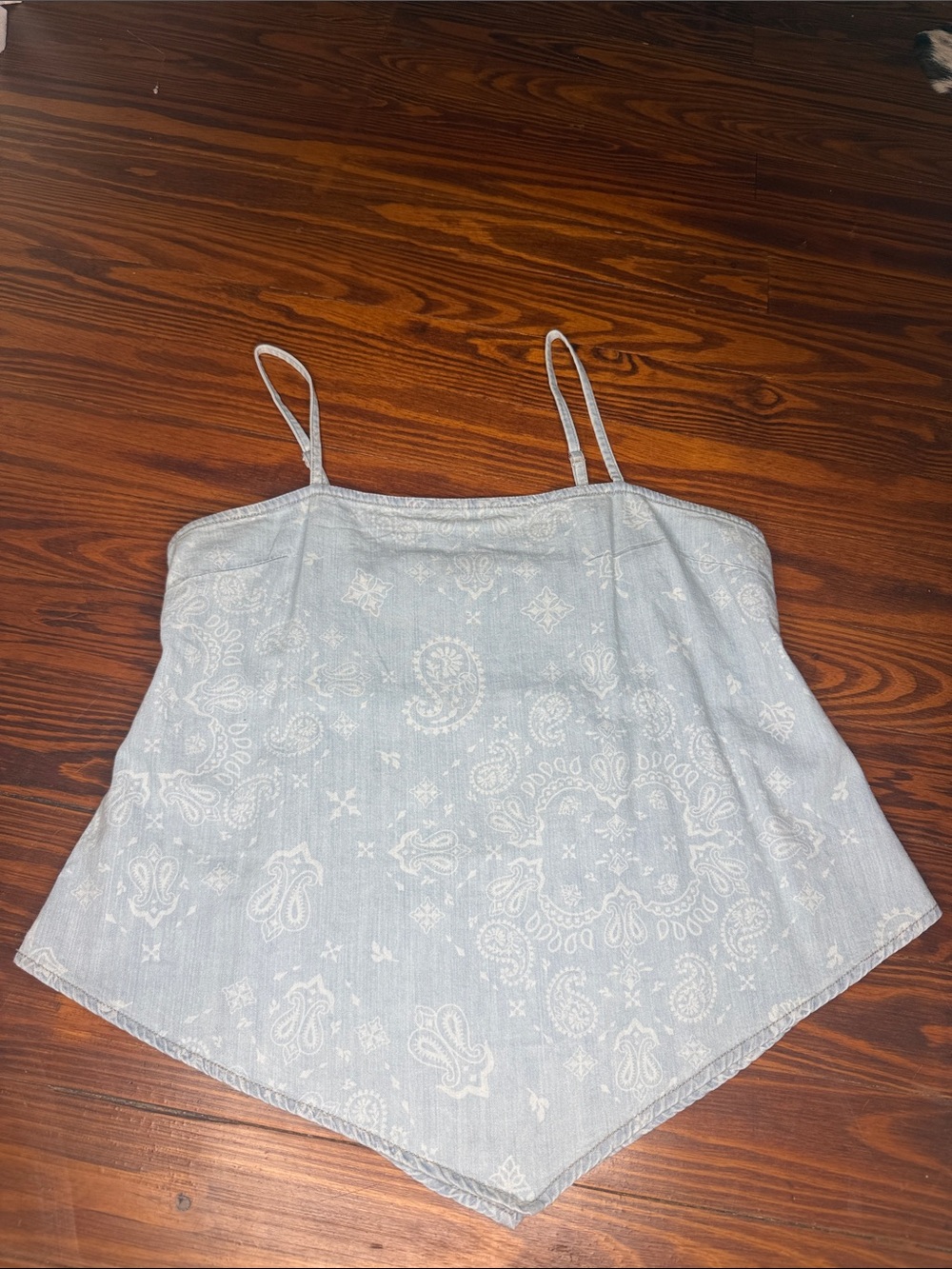 Light Blue Paisley Handkerchief wrangler Top